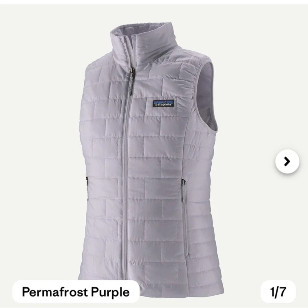 Patagonia Nano Puff Vest in Permafrost Purple